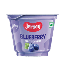 Yoghurt Blueberry Flavor