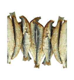 Dry Sardine Fish