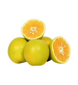 Daily Juice Sweet Lime (Battayi Pandu)