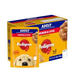 Adult Wet Dog Food, Chicken & Liver Chunks in Gravy