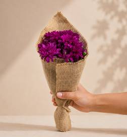 The Flora Three Purple chrysanthemum