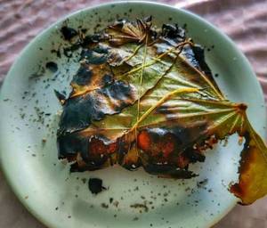 Chicken Pater Poda