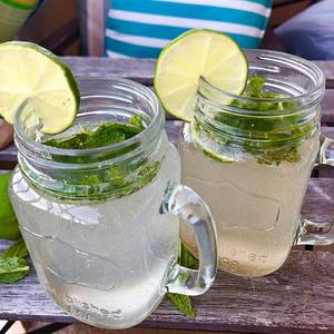 Fresh Lime Soda