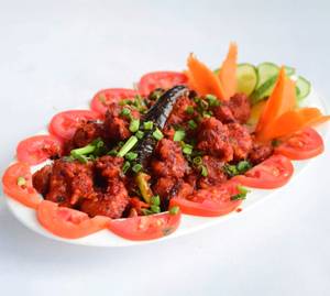 Gobi 65