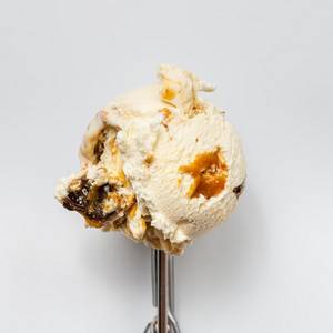 Malted Toffee Crunch Ice Cream