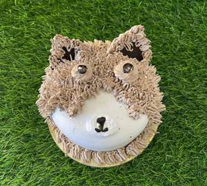 Choclate Teddy Cake
