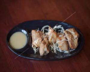 Chciken Malai Kebab