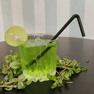Apple Mojito Mocktail