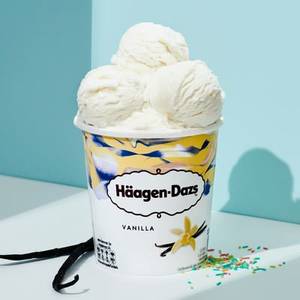 Vanilla Ice Cream (473Ml)