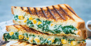 Palak corn cheese Grilled sandwich
