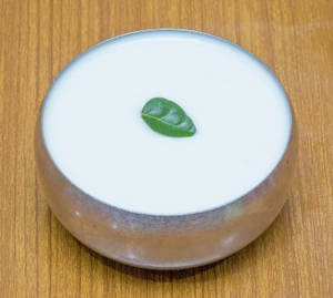 Plain Curd