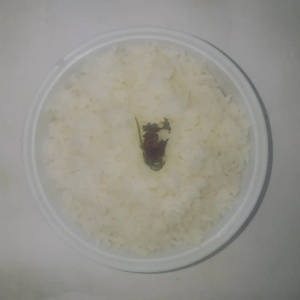 Joha Govindo Bhog Rice