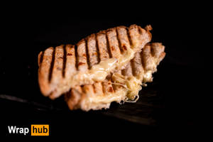 Chicken Cheese Grilled Sandwich 