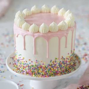 Vanilla Cake [500gms]
