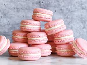 Rose Macaron