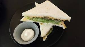 Veg Plain Sandwich 