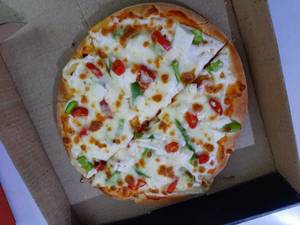 7" Small Punjabi Paneer (For 1)