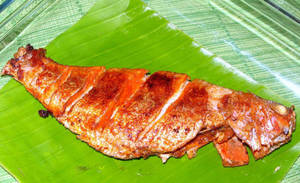 Kilimeen (pink Perch Fish) Fry