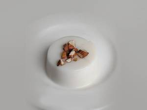 Tender Coconut Pudding