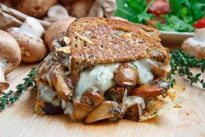 Creamy Mushroom Cheese Sandwich