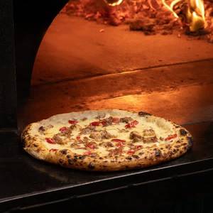 Pollo Alla Tartufo Pizza