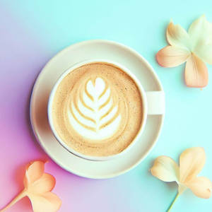 French Vanilla Latte