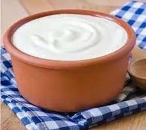 Plain Curd