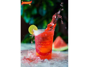 Watermelon Mojito