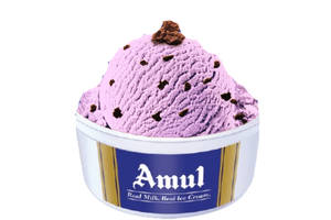 Black Currant Scoop