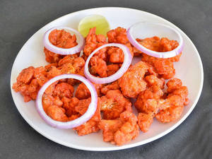 Gobi 65