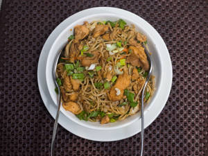 Chicken Noodles                            