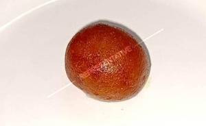 Gulab Jamun