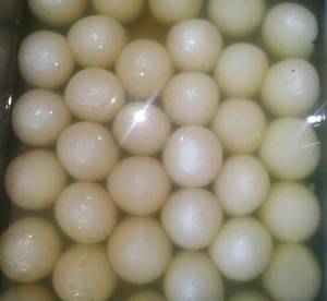 White Rasgulla Sponge