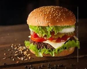 Mexican Burger
