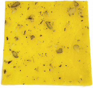 Pila Pista Ice Halwa