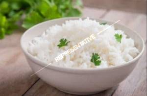 Rice Plate