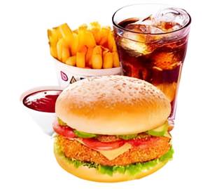 Hot & Crispy Burger + French Fries + Campa Cola Pet Bottl
