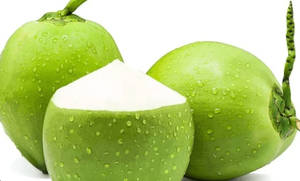 Fresh Tender Coconut ( Medium Size) Elaneer