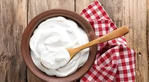 Plain Curd
