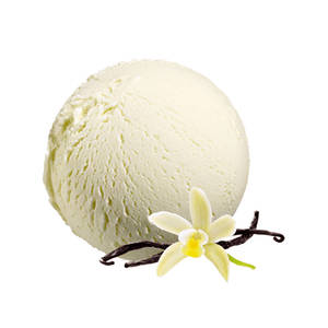 Vanilla Ice Cream