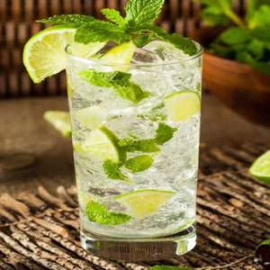 Mojito Mint