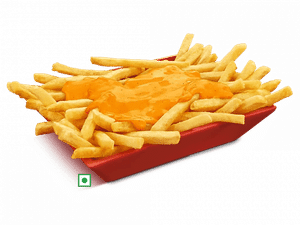 Loaded Cheesy Fries