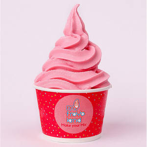 Frozen yogurt bangalore discount