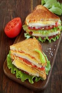Protein Sandwich