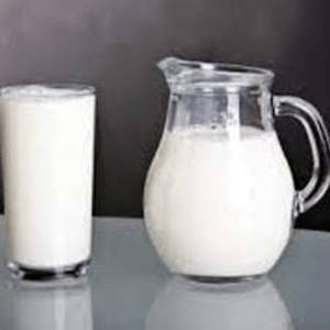 Hot Milk [400 ml]