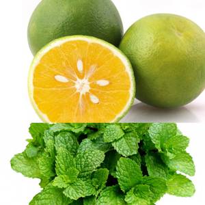 Sweetlime With Mint (Large)