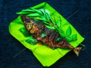 Ayala Fry [Mackerel]