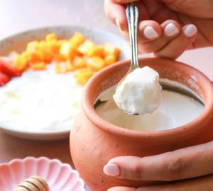 Plain Dahi
