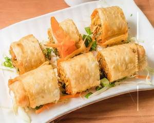Veg Spring Roll