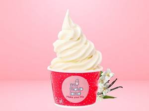 Vanilla Frozen Yogurt
